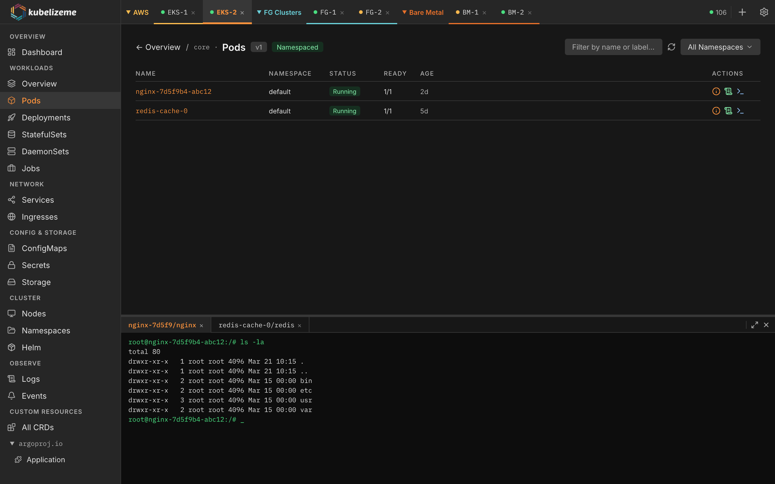 kubelizeme pods view with integrated terminal